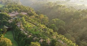 Maya Ubud Resort & Spa