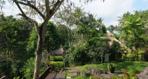 Maya Ubud Resort & Spa