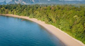 The ShellSea Krabi