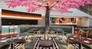 M Social Hotel Phuket