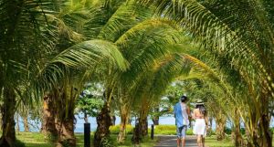 Khaolak Bhandari Resort & Spa