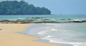 The Leaf on The Sands by Katathani