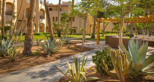 TUI MAGIC LIFE Redsina Sharm El Sheikh