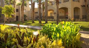 TUI MAGIC LIFE Redsina Sharm El Sheikh