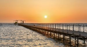 TUI MAGIC LIFE Redsina Sharm El Sheikh