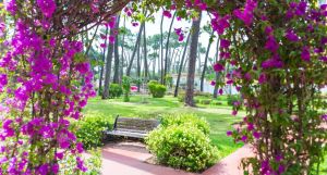 AluaSun Marbella Park