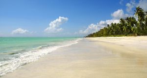 Ocean Paradise Resort & Spa