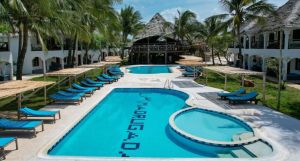 Nest Style Zanzibar