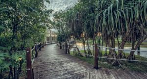 Suriya Resort
