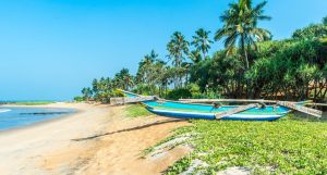 Ranweli Holiday Village