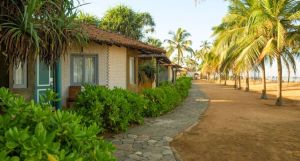 Club Hotel Dolphin