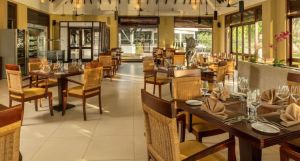 Club Hotel Dolphin