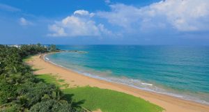 Pandanus Beach Resort & Spa
