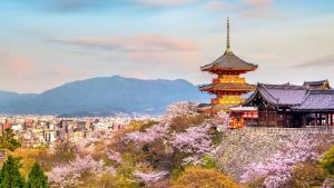 COREEA DE SUD si JAPONIA - Sarbatoarea ciresilor in floare 27.03.2027 (13 nopti)