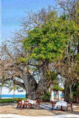 Jacaranda Indian Ocean Beach Resort