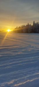 Hotel Sodankylä