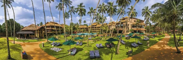 Royal Palms