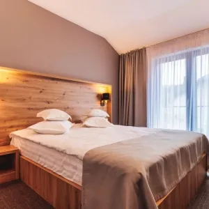 Hotel Domnitei