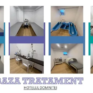 Hotel Domnitei