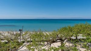 Alkioni by the Sea