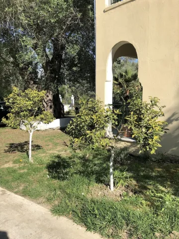 LA CASA DE DALIA