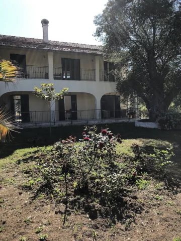 LA CASA DE DALIA