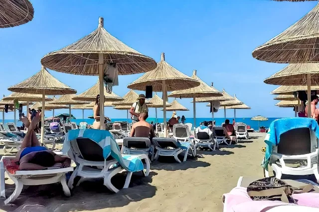 Bonita Classic