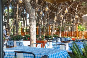 VM Resort & SPA