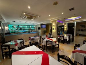 Hotel Driloni