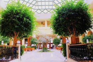 The Atrium