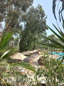 Tunisia Lodge
