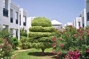 Hotel Calimera El Borj