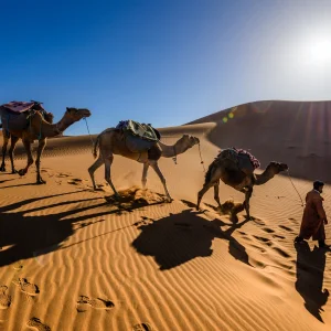 Circuit Maroc – Marrakech si Magia Desertului Sahara