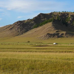  Mongolia