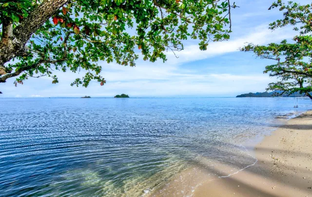 Awa Resort