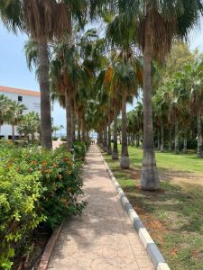 Nelia Sea Breeze (EX Anmaria Hotel)