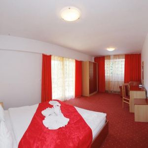 Hotel International Herculane