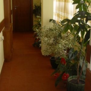 IVEL Family Hotel