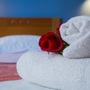 Hotel Rodon