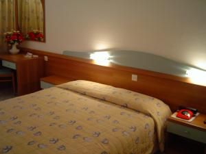 Hotel Narcis