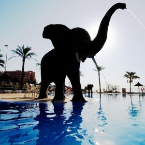 Hotel Holiday World Resort (sau similar 4*)