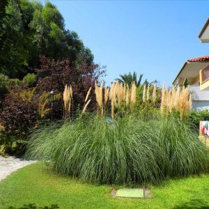 Ioli Apartments Fourka Beach Apartamente