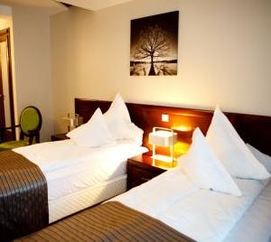 Hotel Belvedere Botosani