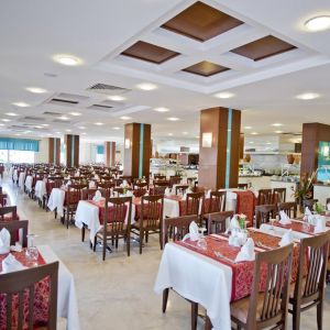 Trendy Palm Beach