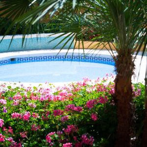 Monarque Torreblanca Fuengirola