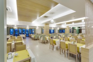 Hotel Terrace Elite Resort