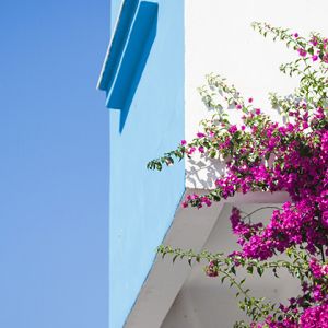 Sonia Resort