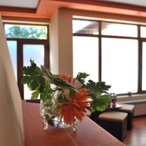 Hotel Donchev