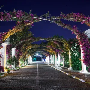 Hotel Kadikale Resort