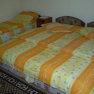 Pensiunea Firiza